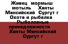 Живец, мормыш, мотыль. - Ханты-Мансийский, Сургут г. Охота и рыбалка » Рыболовные принадлежности   . Ханты-Мансийский,Сургут г.